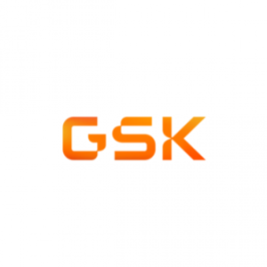 GSK inclusive employer