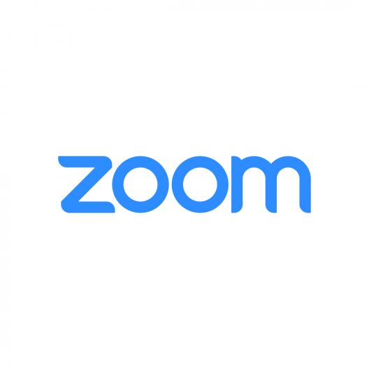 Zoom inclusive employer