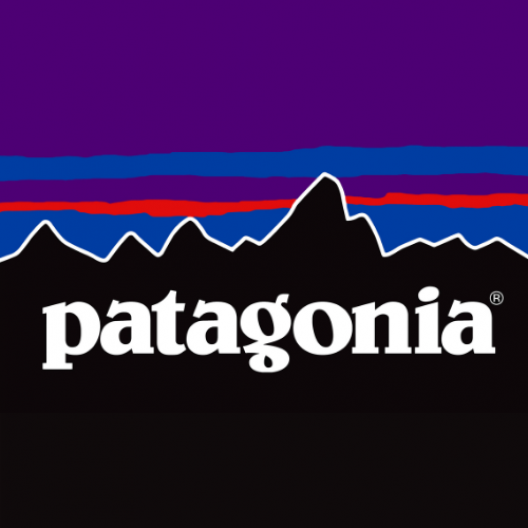 Patagonia inclusive employer