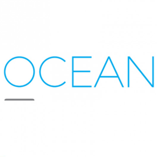 The Ocean Partnership inclusive employer