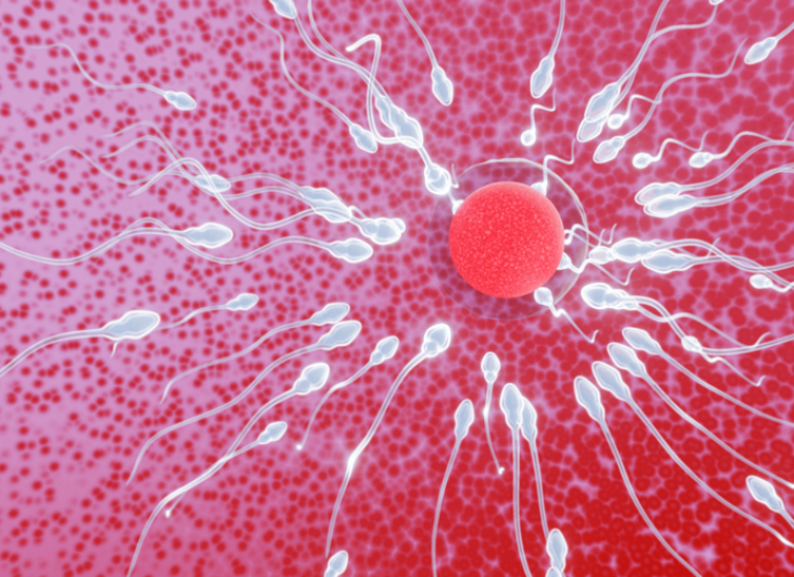 Image related to People with HIV can be sperm and egg donors