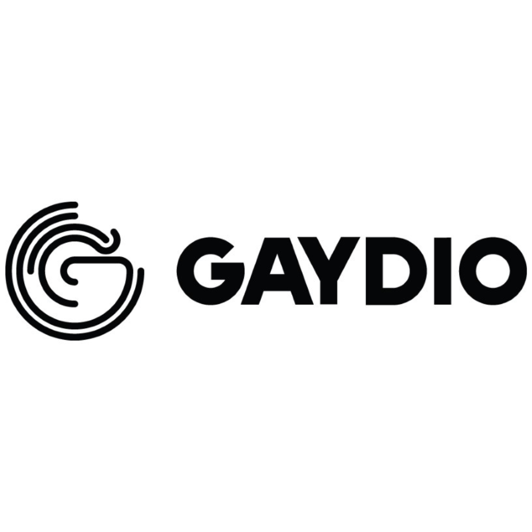 gaydio inclusive employer