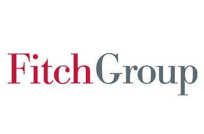 Fitch Group